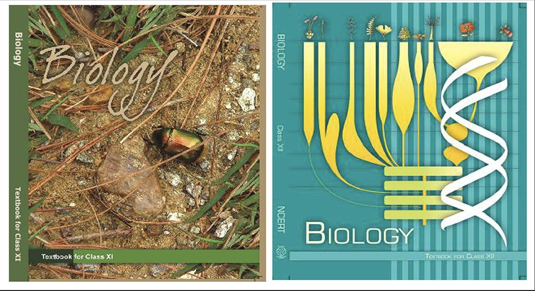 NCERT Biology (Class 11 & 12) – Best for CBSE & NEET Prep
