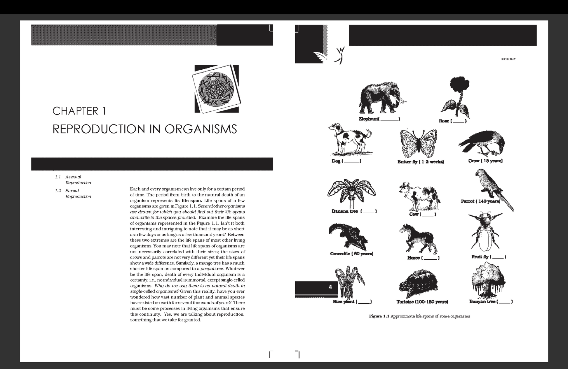 NCERT Biology (Class 11 & 12) – Best for CBSE & NEET Prep