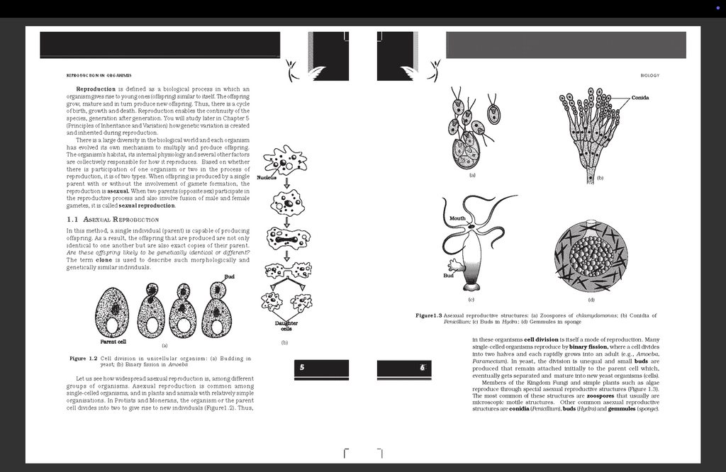 NCERT Biology (Class 11 & 12) – Best for CBSE & NEET Prep